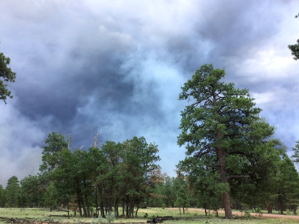 Eden Fire (July 30, 2016)