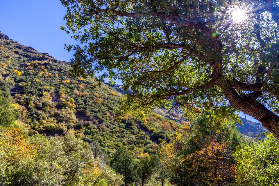 Halway picnic area (October 16, 2017)
