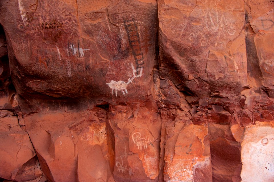 Palatki Heritage Site