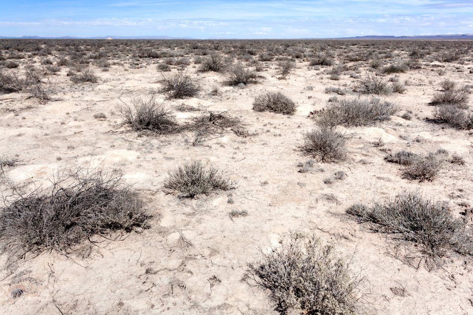 Jornada del Muerto Plain