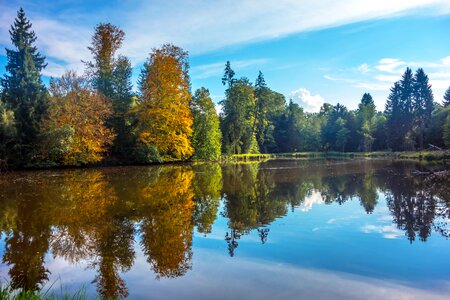 Lake pond light photo