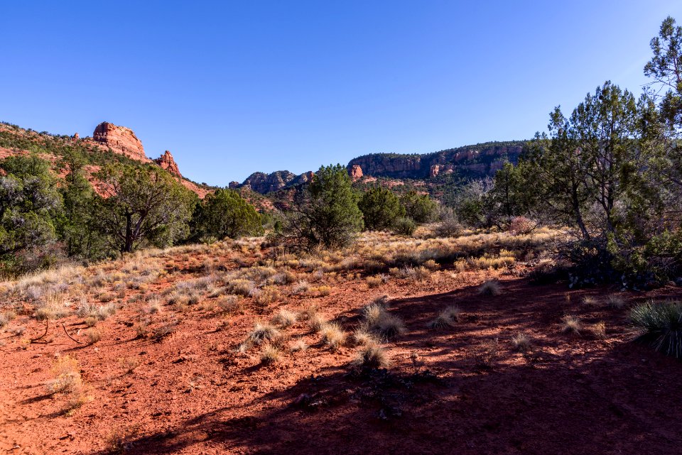 Turkey Creek Trail