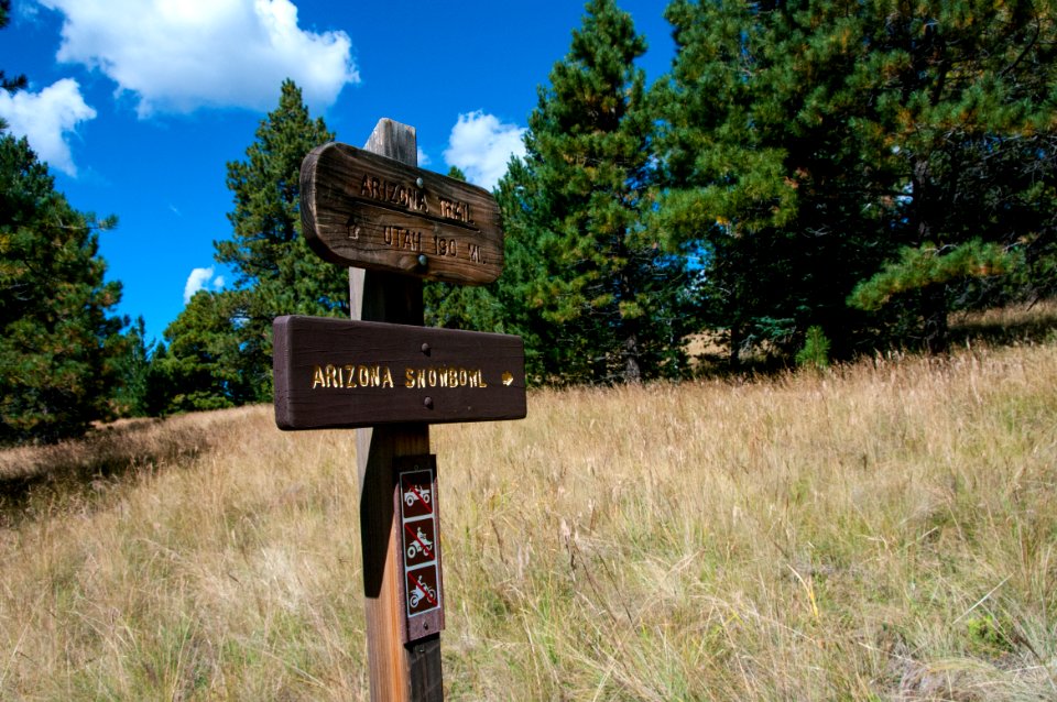 Aspen Loop Trail No. 73