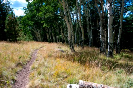 Arizona Trail Passage 34