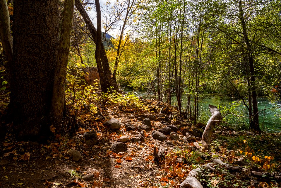 Waterfall Trail (November 14, 2017)