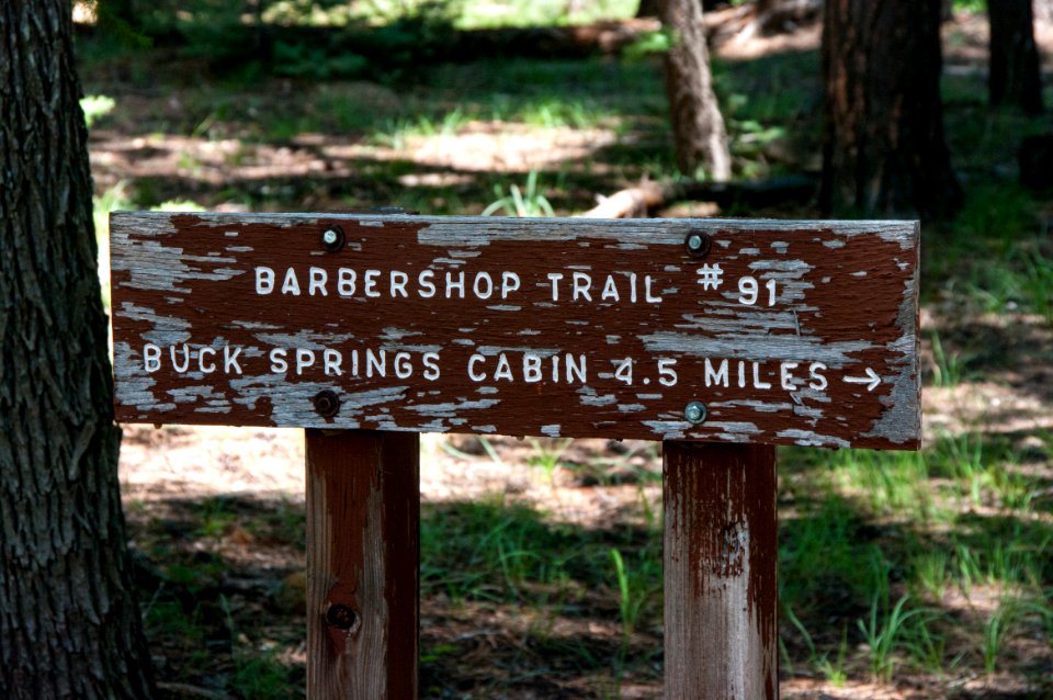 Barbershop Trail No. 91