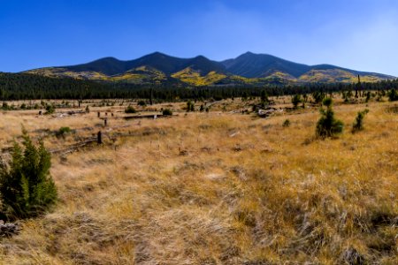 FR 418 north of the Peaks (October 4, 2017)