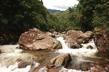 Nature stream cascade