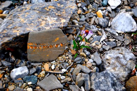 Natural Design