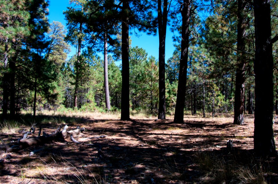 U-Bar Trail No. 28