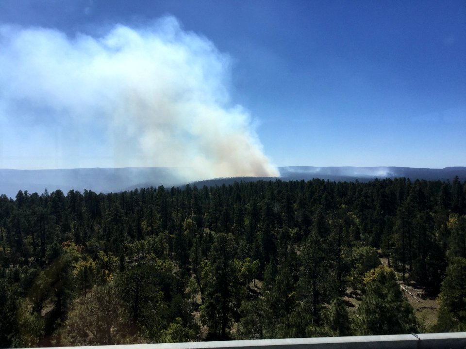 Pinchot Fire (October 5, 2016)