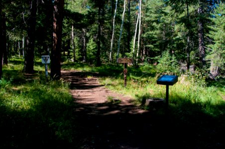 Inner Basin Trail photo