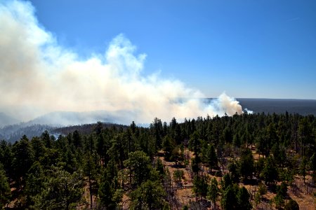 Tinder Fire