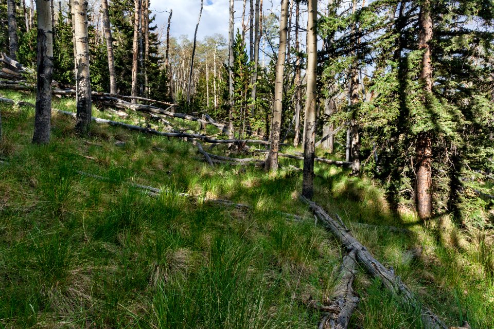 East of County Line Ridge