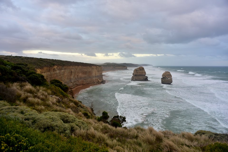 DSC 1154