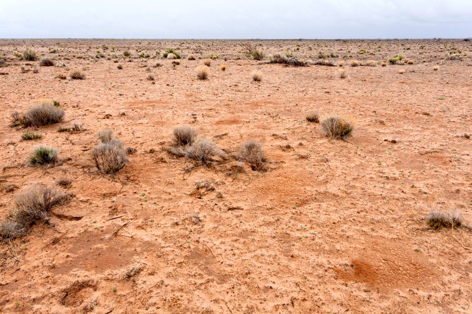 Jornada del Muerto Plain