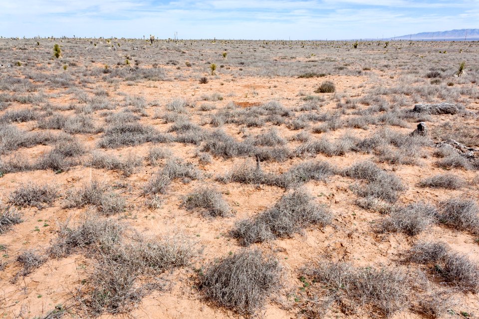 Jornada del Muerto Plain
