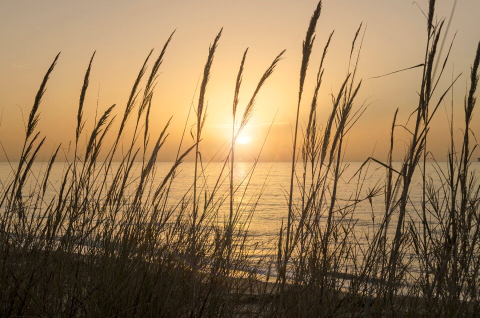 Beach nature ground