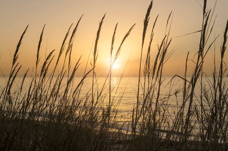 Beach nature ground