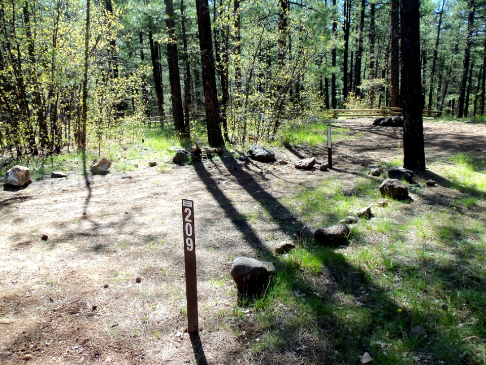 Pumphouse Wash (FR 237) Camping Loop 2