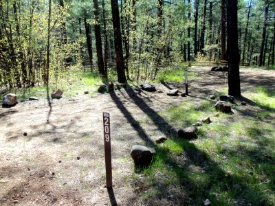 Pumphouse Wash (FR 237) Camping Loop 2