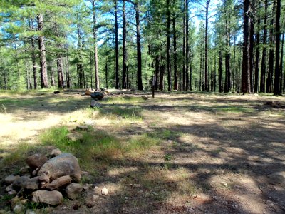 Pumphouse Wash (FR 237) Camping Loop 3 photo