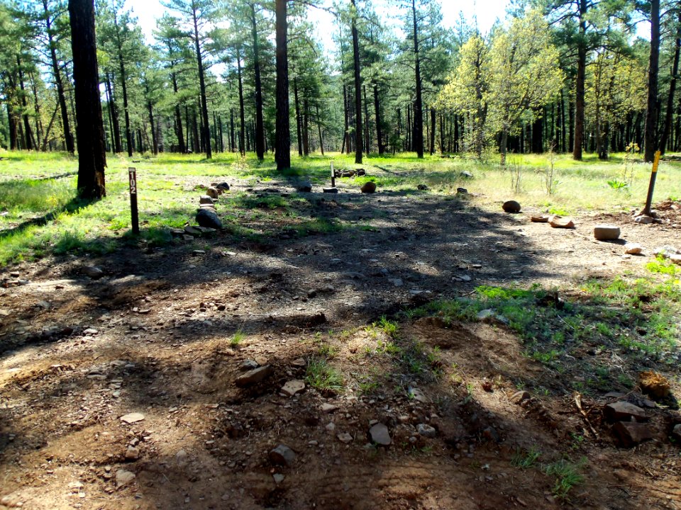 Pumphouse Wash (FR 237) Camping Loop 1