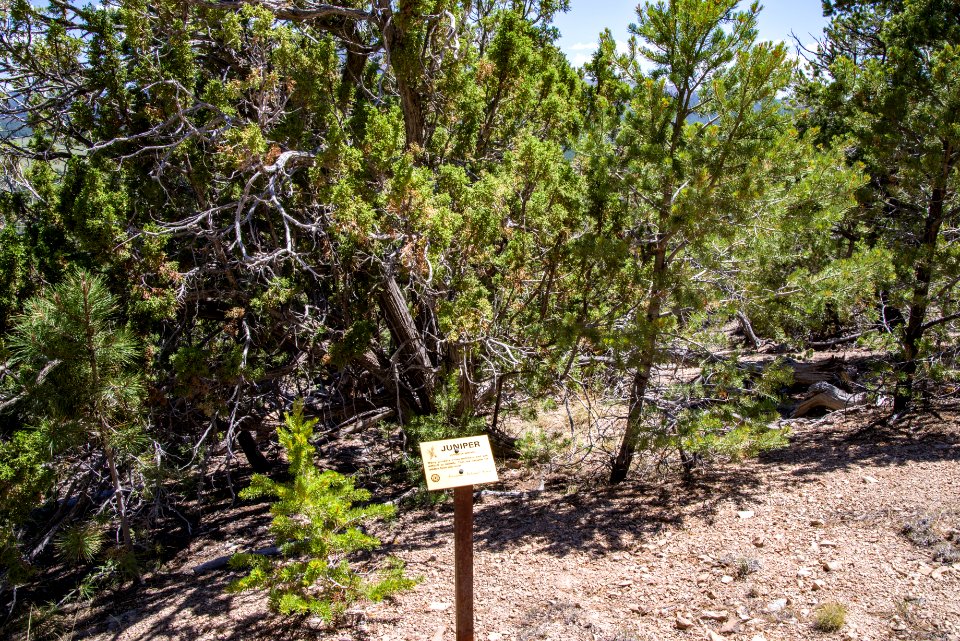 Slate Mountain Trail