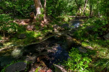 Fossil Springs