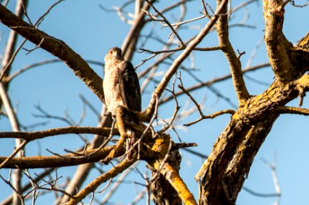 AVU-2017-027-244
