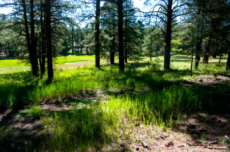 Griffith Spring Trail No. 189