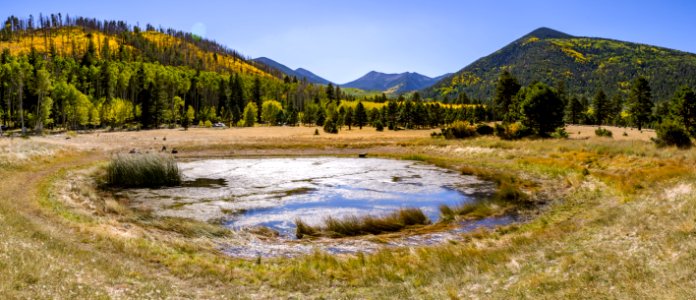 Lockett Meadow (September 30, 2017)