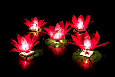 Wesak Festival 2018