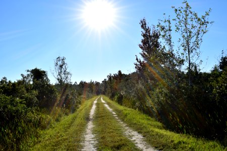 Split Oak Trail