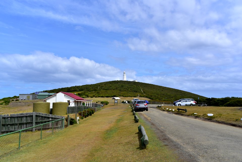 DSC 1608