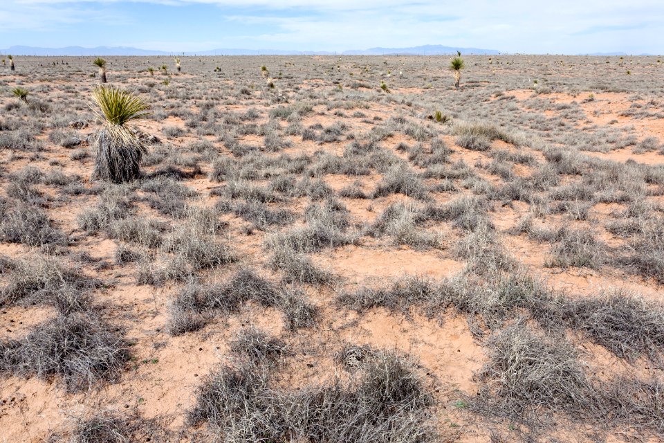 Jornada del Muerto Plain