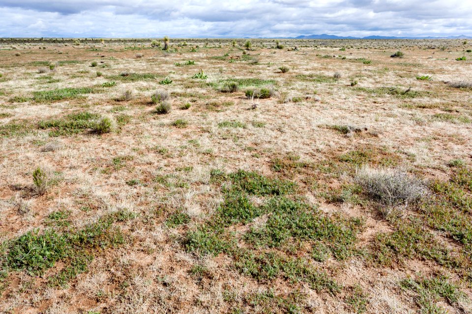 West of Apache Mountain