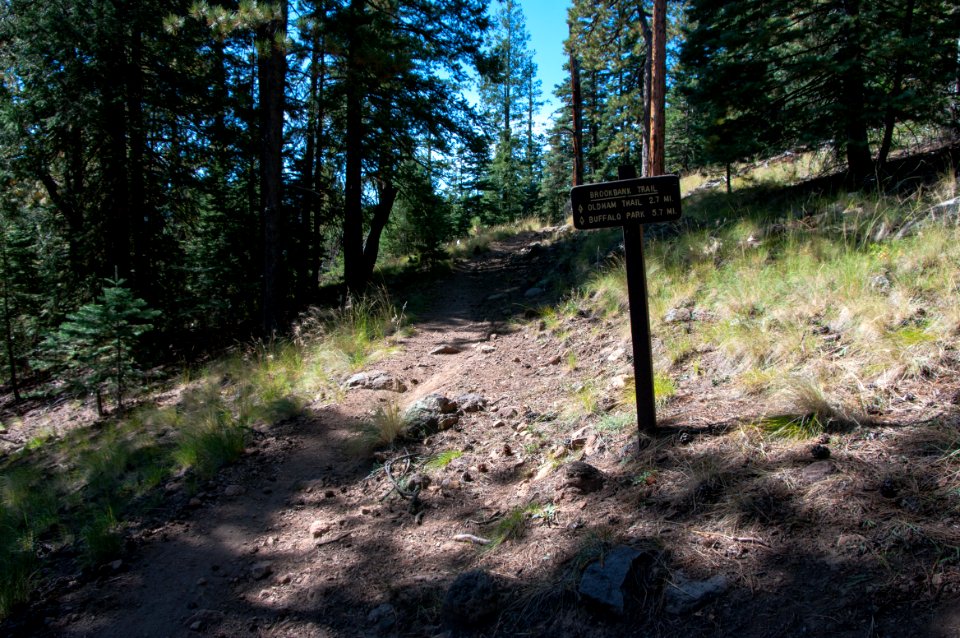 Sunset Trail No. 23