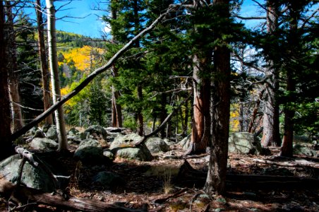 Bear Jaw Trail