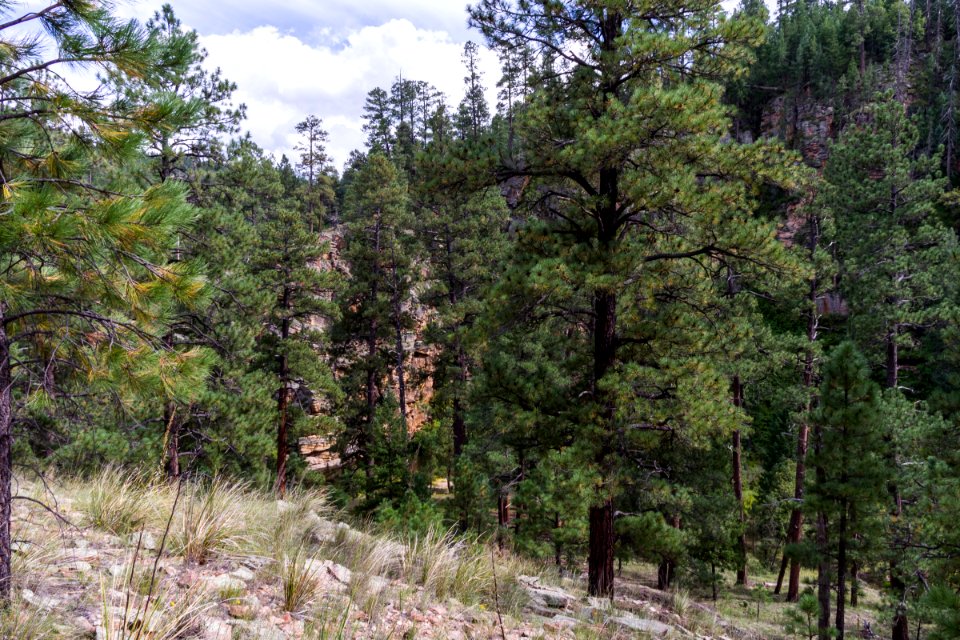 Kinder Crossing Trail