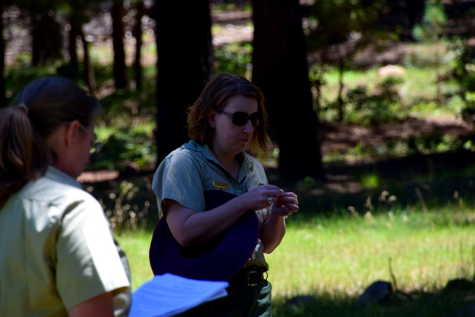 Mormon Fire Case Study Staff Ride