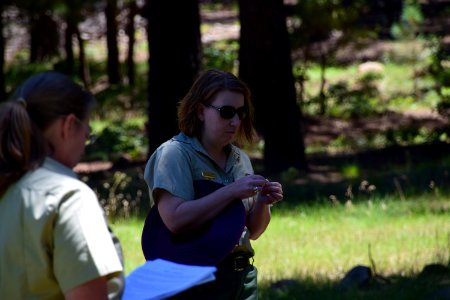 Mormon Fire Case Study Staff Ride