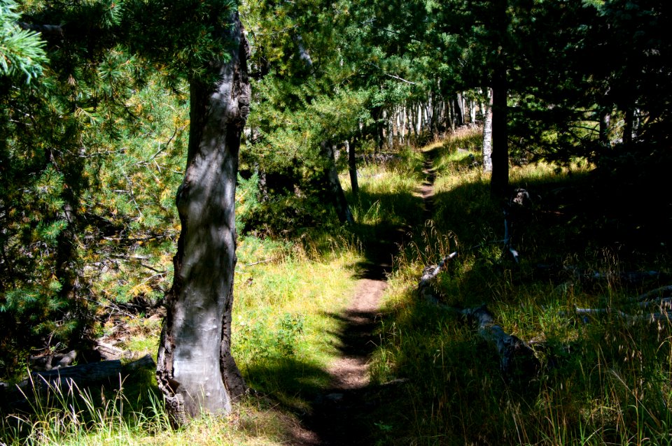 Arizona Trail Passage 34