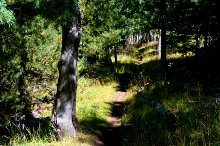 Arizona Trail Passage 34