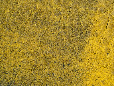 Grunge background concrete