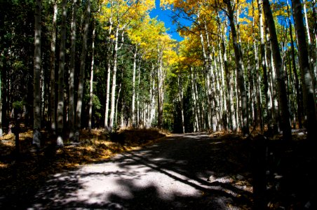 Inner Basin Trail No. 29