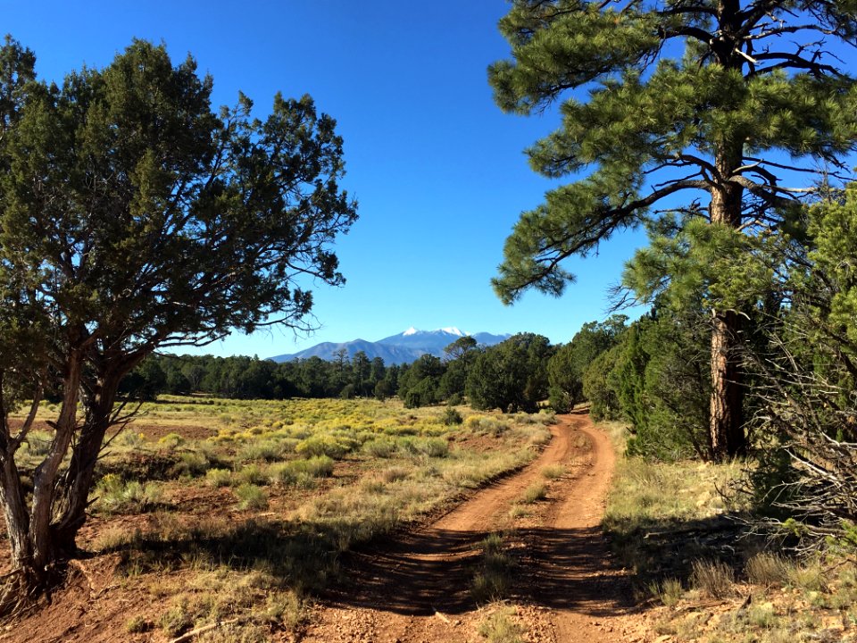 San Francisco Peaks