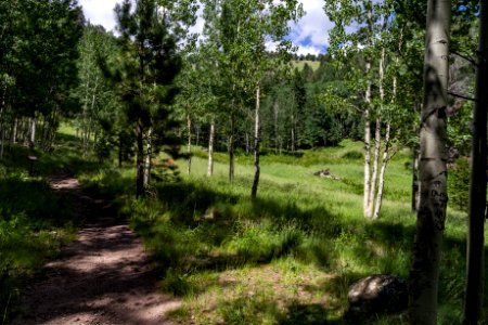 Weatherford Trail