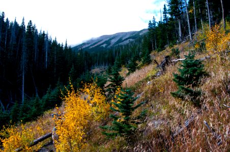Abineau Trail