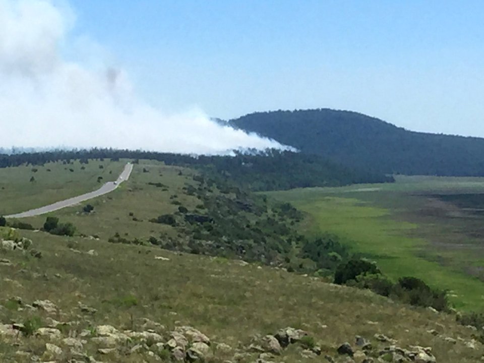 Camillo Fire 2015-06-18: Mormon Lake Vista